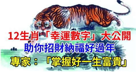 屬雞的幸運數字|12生肖「幸運數字」曝光！專家：掌握好一生富貴